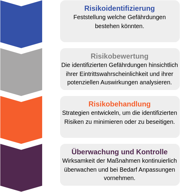 Darstellung des Risikomanagementprozesses